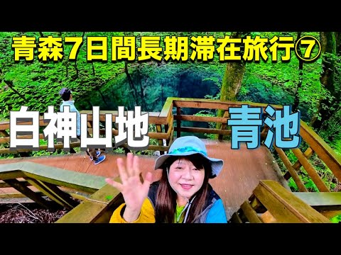 世界遺産 白神山地 青池見て、ブナ自然林の中を歩き五能線乗車