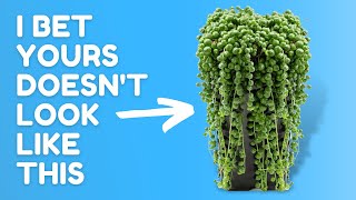 Stop Wasting Money on These Nightmare Plants
