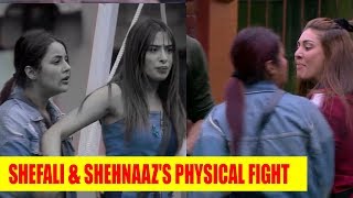 Bigg Boss 13 Updates Shefali And Shehnaazs Physical Fight