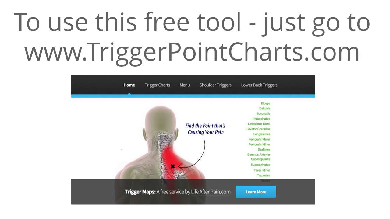 Free Trigger Point Charts Tool - YouTube