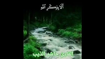 القارئ حاشد الذيب #اكسبلور #السعوديه #المصحف #دويتو #الرحمن #لايك