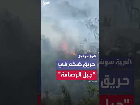 حريق جبل الرصافة بريف حماة بسوريا يعيقها رياح شديدة