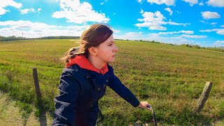 I visited my Village in Ukraine: cows, firewood, harvest