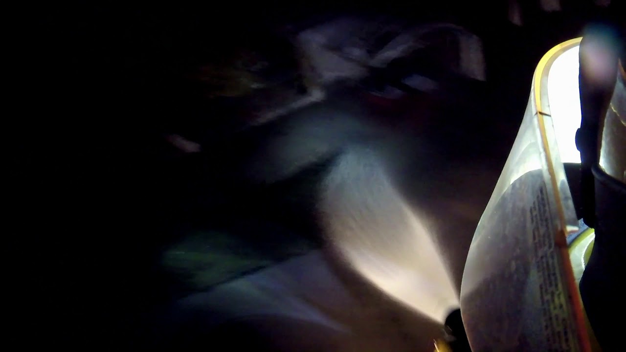 ICAGVFB MASS DISINFECTION DAY 14