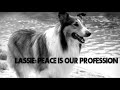 Lassie: Peace is Our Profession (1972)