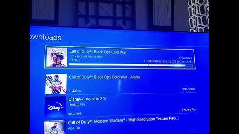 cod cold war connecting problem