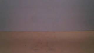 Clay stop motion anination (rough draft)