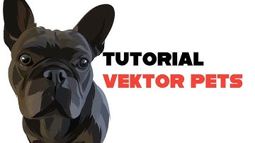 Vector pets | Infinite design