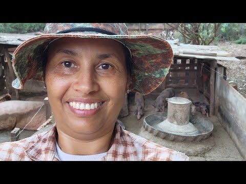 Do Chiqueiro ao Parreiral: Uma Visita à Vida na Roça