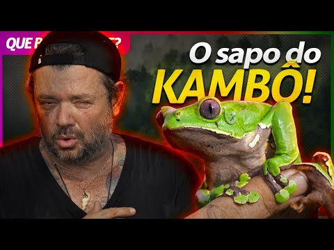 Vídeo: Sapo - Propriedades úteis E Usos Do Sapo. Sapo-do-campo