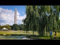 David Hatef Agent Profile Video Washington DC -- Legendary Productions