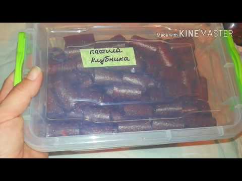 Как НЕ нужно ХРАНИТЬ ПАСТИЛУ!!! Мой ПЕЧАЛЬНЫЙ ОПЫТ.