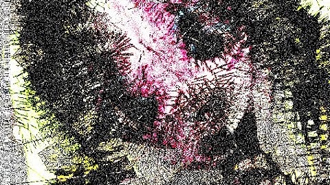 ‧₊₊༝ ۫₊༝ ۪۪۫۫ ‧₊༝ ۪۪۫۫₊༝ ۪۪۫۫ ‧₊₊༝ ۪۪۫۫ ‧₊₊༝ ۪۪۫۫ ‧₊ ‧₊₊༝ ۪۪۫۫ ‧₊