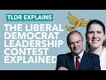 The Lib Dem Leadership Election Explained - TLDR News