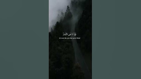 سورة الحجّ الآية(46) #أفلم_يسيروا_في_الأرض #القارئ_طارق_محمد