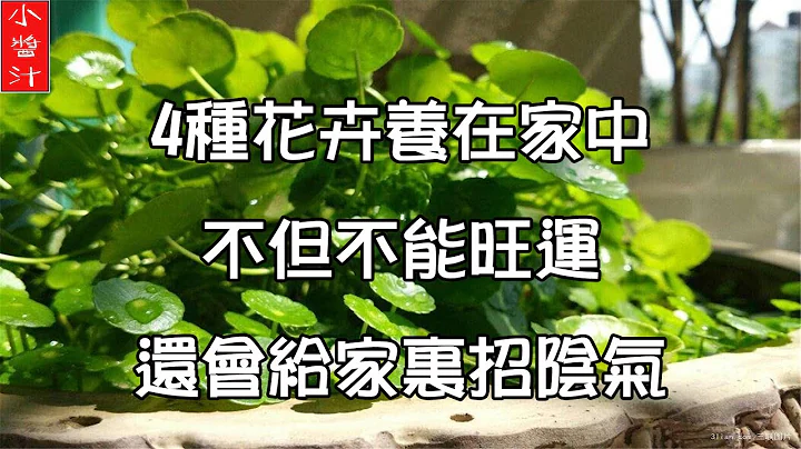 【花草風水】4種花卉養在家中，不但不能旺運，還可能會給家裡招陰氣！ - 天天要聞