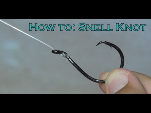 How to tie the Snell Knot - YouTube