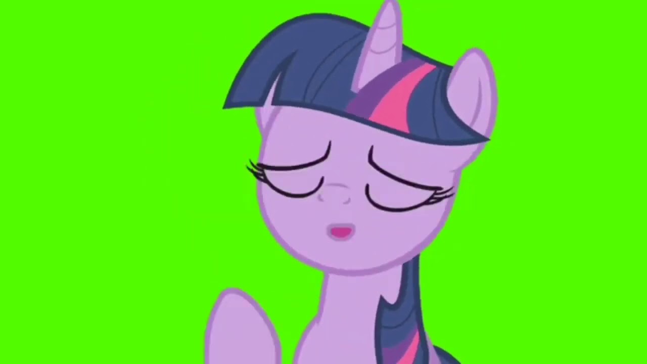 cute pony yawning green screen