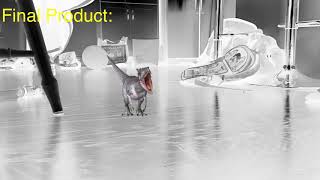 Dinosaur VFX Video Editing Tutorial (KineMaster Video Editing App) [1080p HD] screenshot 5