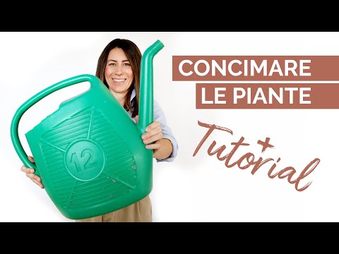 Video: Differenza Tra Pinta E Quarto E Litri