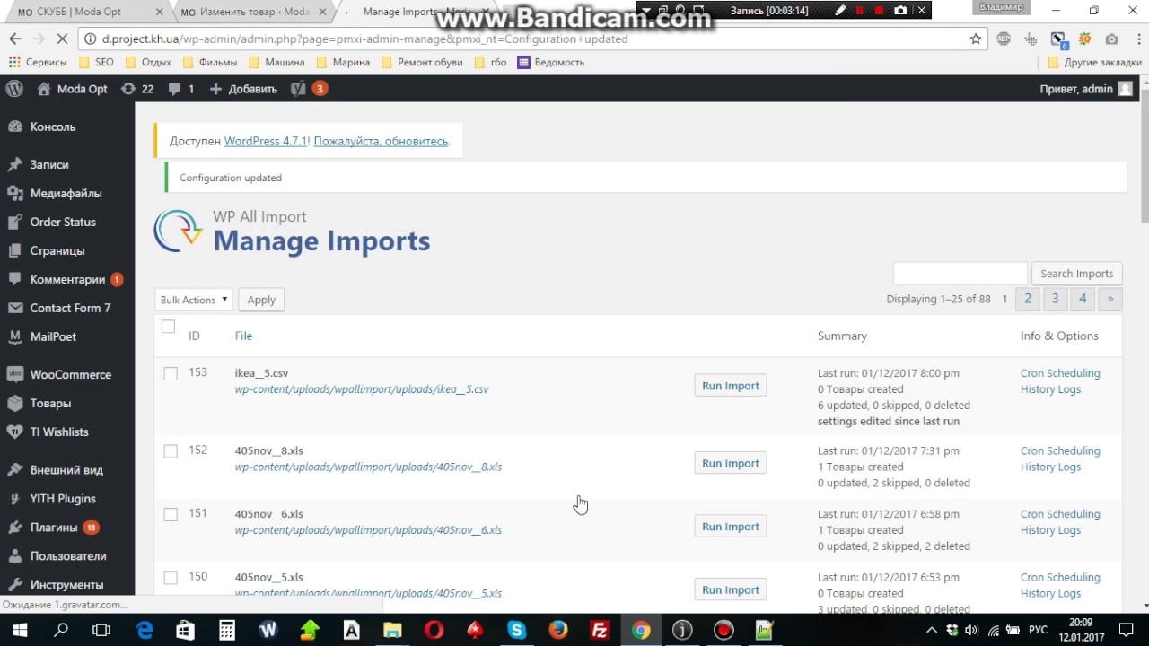 Wp all import pro