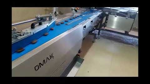 Automatic Flowpack Packaging Machine with distribution system - Omaks Makina