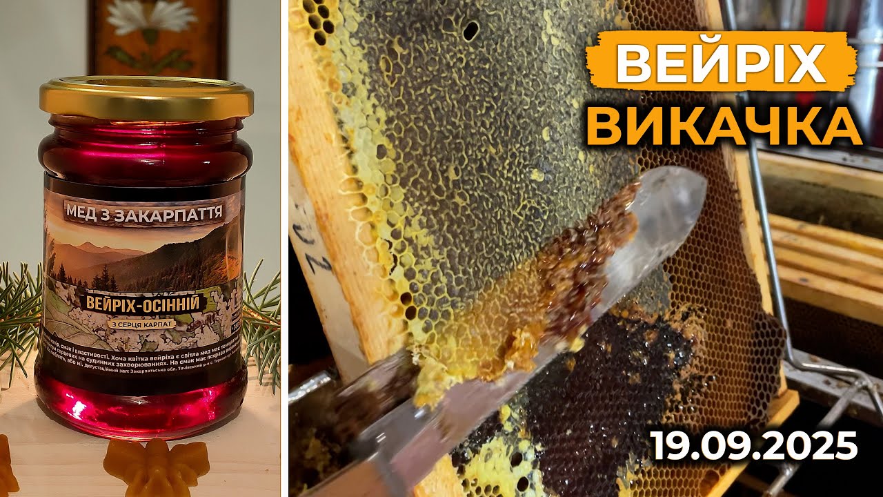 Викачка Вейріх-Осінній 2025. Про користь меду і пасіку.