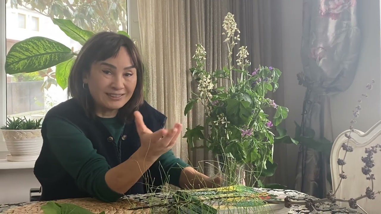 Yenilebilir yabani bitkileri nasıl tanırız,ayırt ederiz ?Bitkilerin temel özellikleri