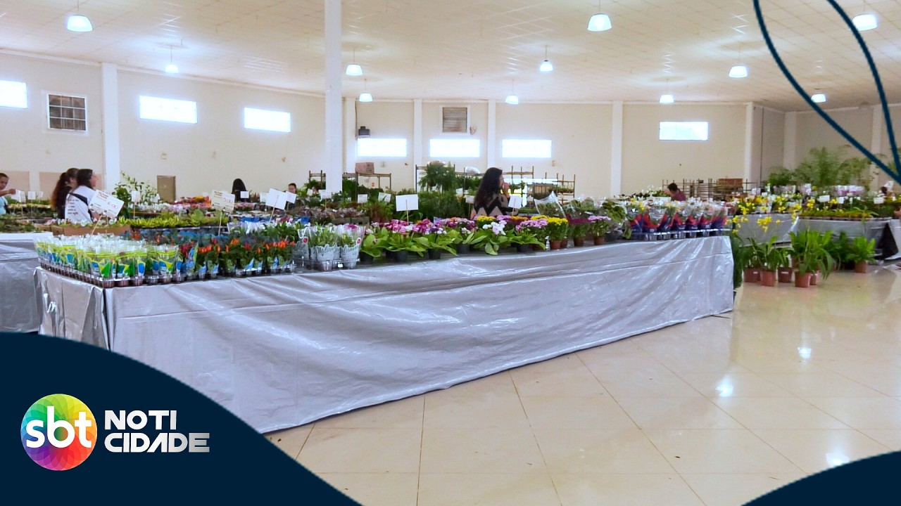 Última chance! Feira de flores realizada pela APAE acontece até neste sábado
