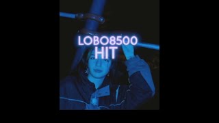 Lobo8500 - Hit