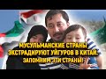 Мусульманские страны выдают уйгуров Китаю. Запомним эти страны!