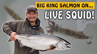 We Used Live Squid to Catch Big Chinook Salmon!  | Fishing with Rod