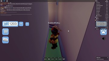 Doqee | Exploiter Proof Report (24)