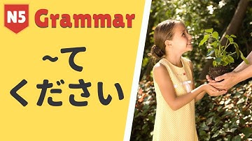 JLPT N5 Japanese Grammar Lesson「てください」日本語能力試験 文法