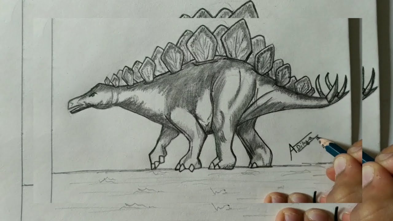 how to draw a dinosaur t rex stegasaurus drawing simple how to draw a dinosaur t rex stegasaurus drawing simple