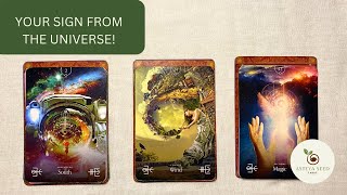 ✨ YOUR SIGN FROM THE UNIVERSE ✨ Tarot Card Reading