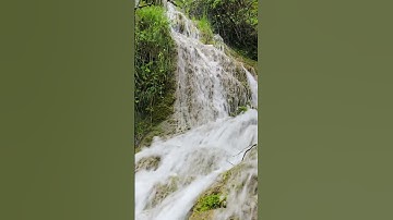 سورة يونس بصوت محمد صلاح #quran