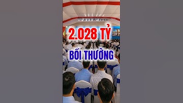 Ngân sách 2.028 tỷ cho bồi thường cao tốc Cà Mau - Đất Mũi: Dân Cà Mau đồng thuận cao!#short #2997