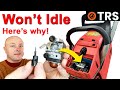 Chainsaw Wont Idle - This is why - Do this to Correct it!