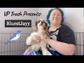 VP Trash Presents: BluestJayy