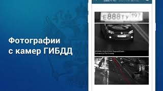 Штрафы ПДД - проверка и оплата штрафов. Фото с камер ГИБДД