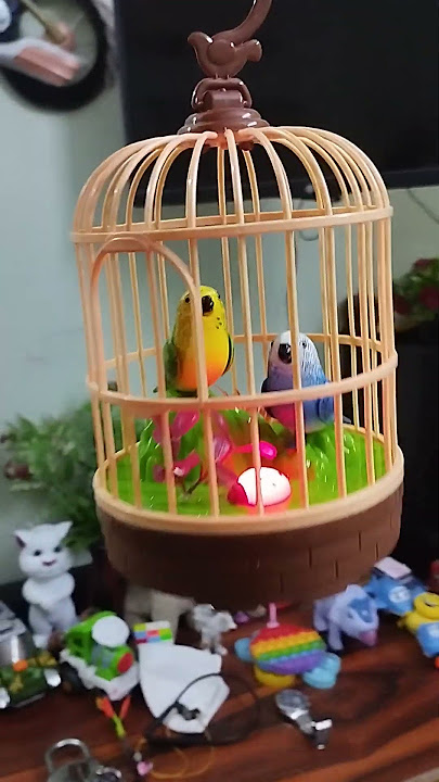 BURUNG MAINAN TERBAIK TERIMA KASIH 21K #burung #burung #bahagia