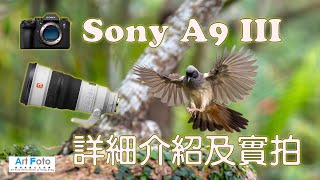 【攝影教學/器材速遞 #395】Sony A9 III 及 FE300/2.8 GM(1.4X/2X)詳細介紹及鳥攝實拍(CC 中文字幕)-Alex Fung FRPS, GMPSA, EFIAP/p