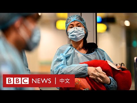 新型冠狀病毒肺炎：全球確診數字和疫情一覽－ BBC News 中文