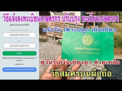 ผลสลากกินแบ่งรัฐบาล วันที่ 1 พย. 2567