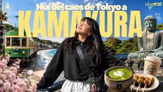 I needed to escape the chaos of Tokyo so I headed to Kamakura temples gardens Kdramas