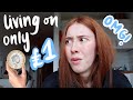 Living on £1 for 24 HOURS!! and this is what happened!