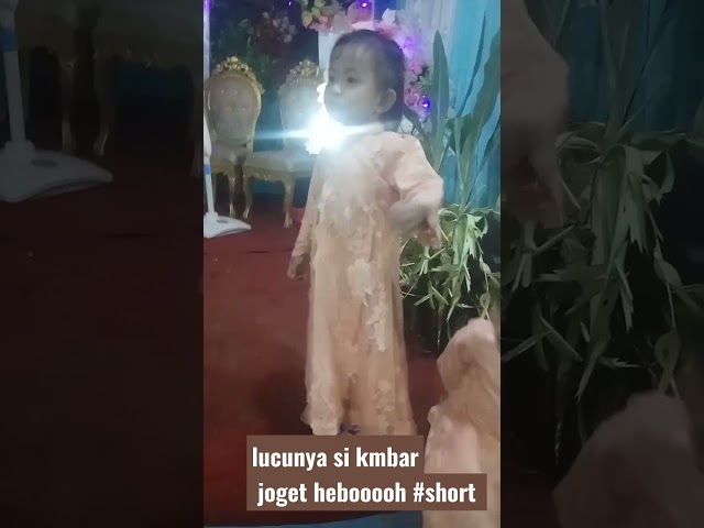 lucunya si kembar menari sampai heboh!! class=