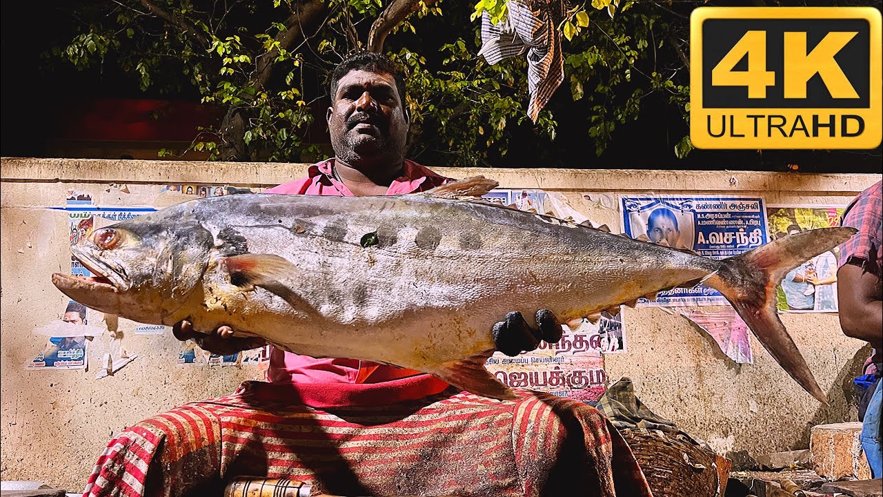 Theala Theala Paarai fish cutting video/Fishcuttingrs #fishcuttingrs #kasimedu ...