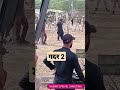 गदर 2